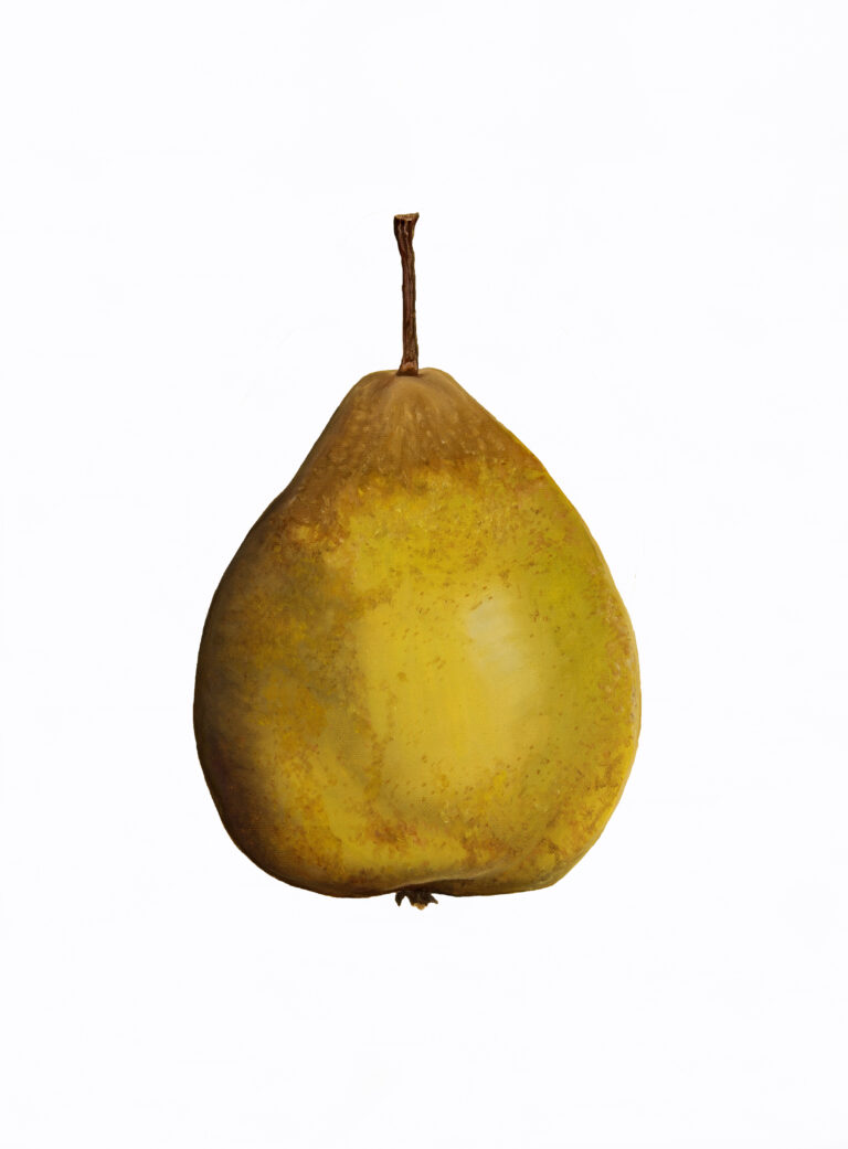 Snow pear